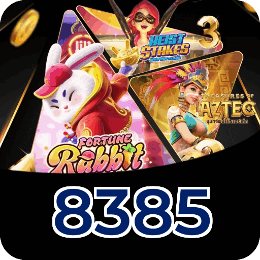 8385 segurança SSL 256-bit